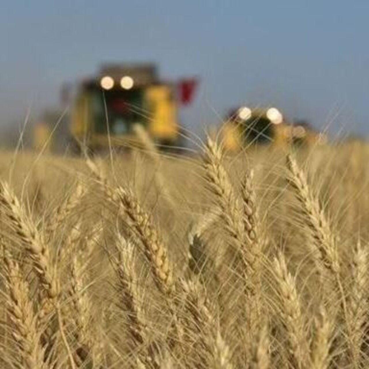 Tarım ÜFE haziranda yüzde 9 azaldı